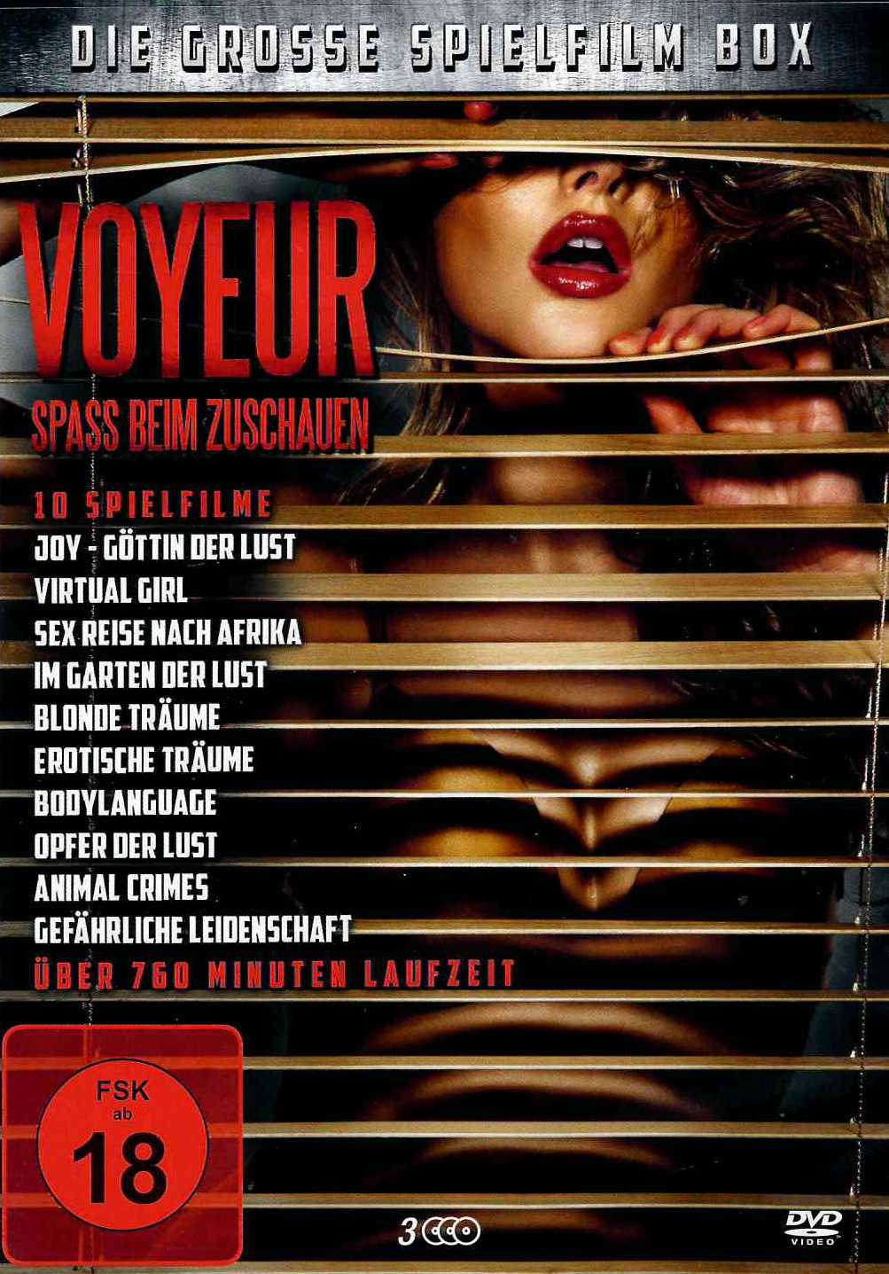 Voyeur 10 Erotik Spielfilme 760 Minuten Sammel Box Usa